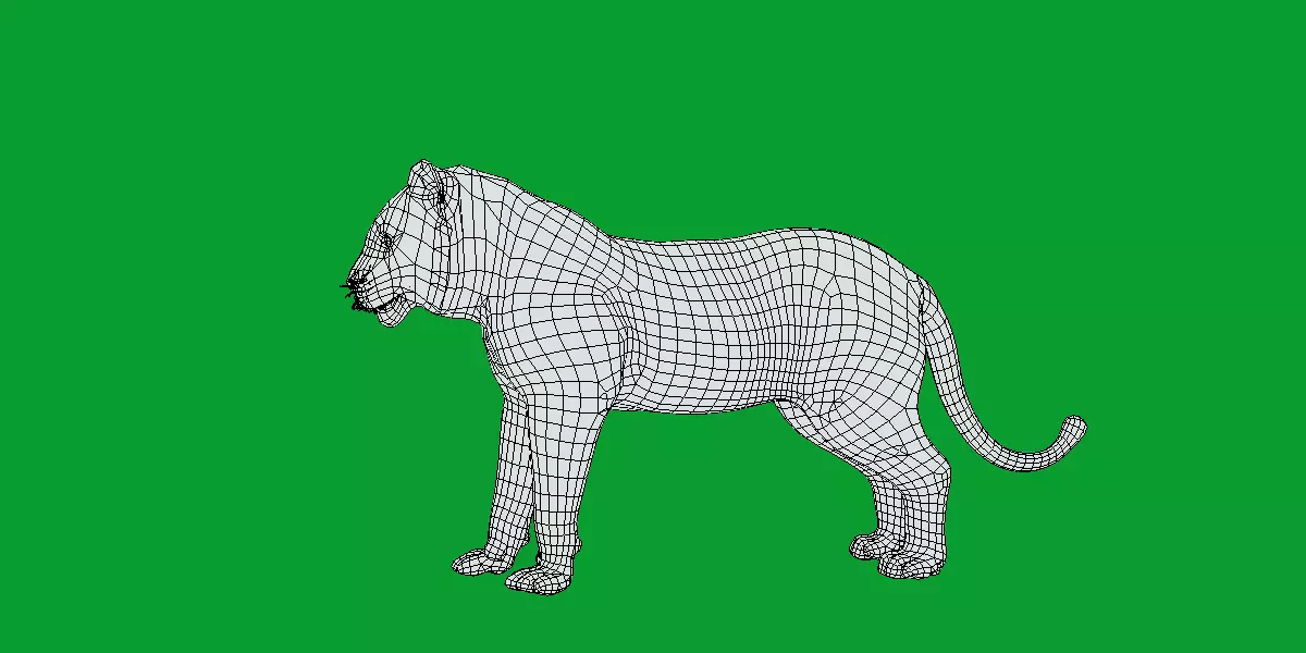 Bengal Tiger Low-poly 3D model_10