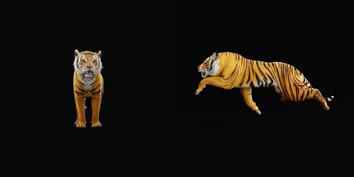 Bengal Tiger Low-poly 3D model_32