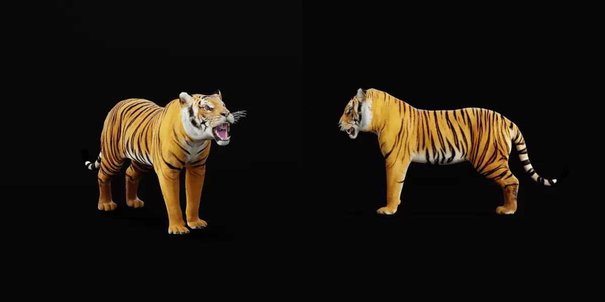 Bengal Tiger Low-poly 3D model_38