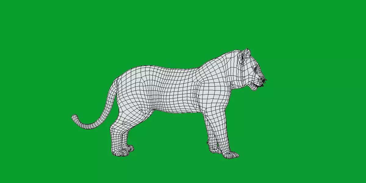 Bengal Tiger Low-poly 3D model_12