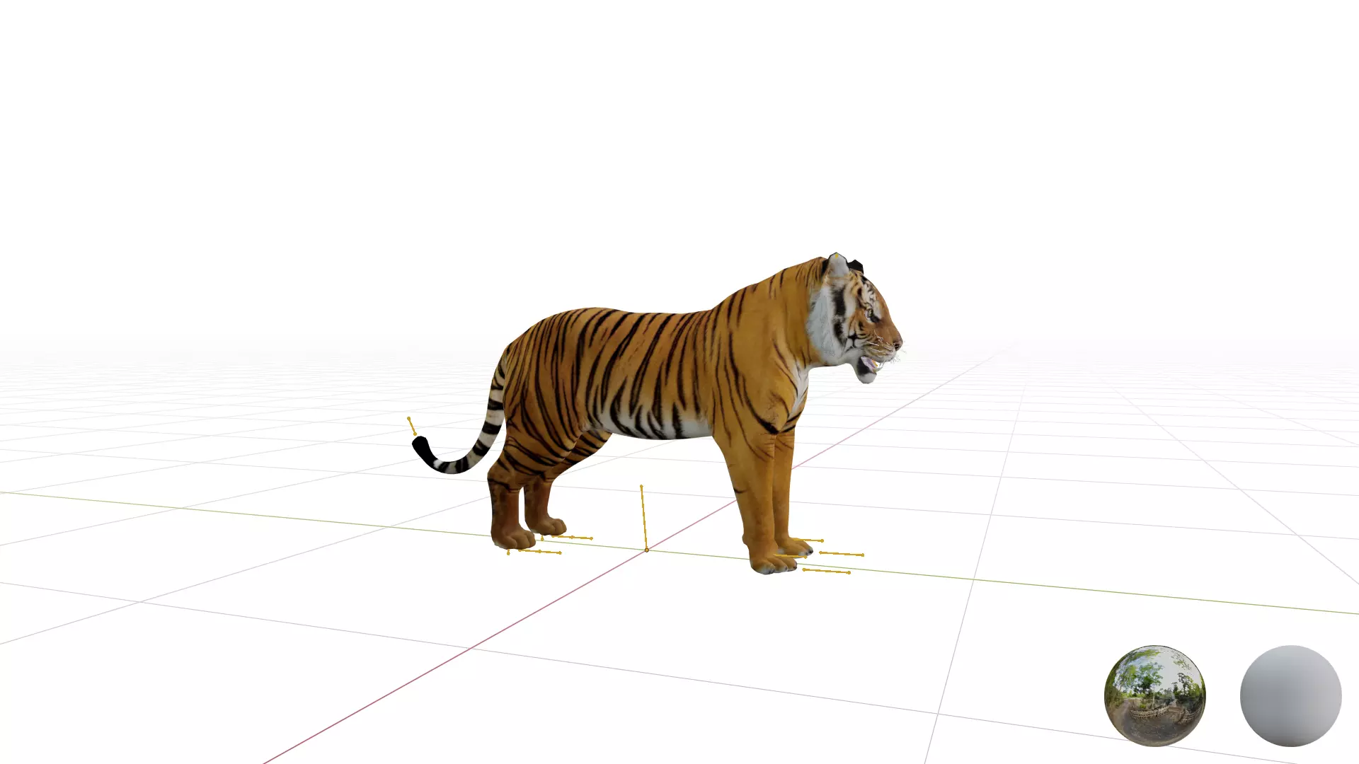 Bengal Tiger Low-poly 3D model_50
