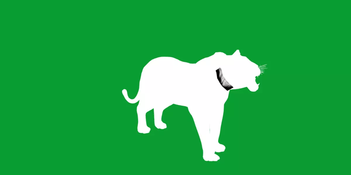 Bengal Tiger Low-poly 3D model_15