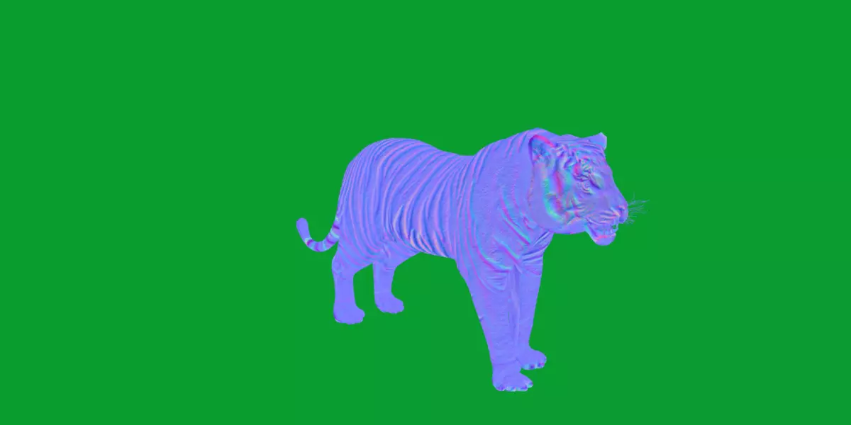 Bengal Tiger Low-poly 3D model_14