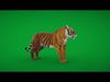 Bengal Tiger Low-poly 3D model_1