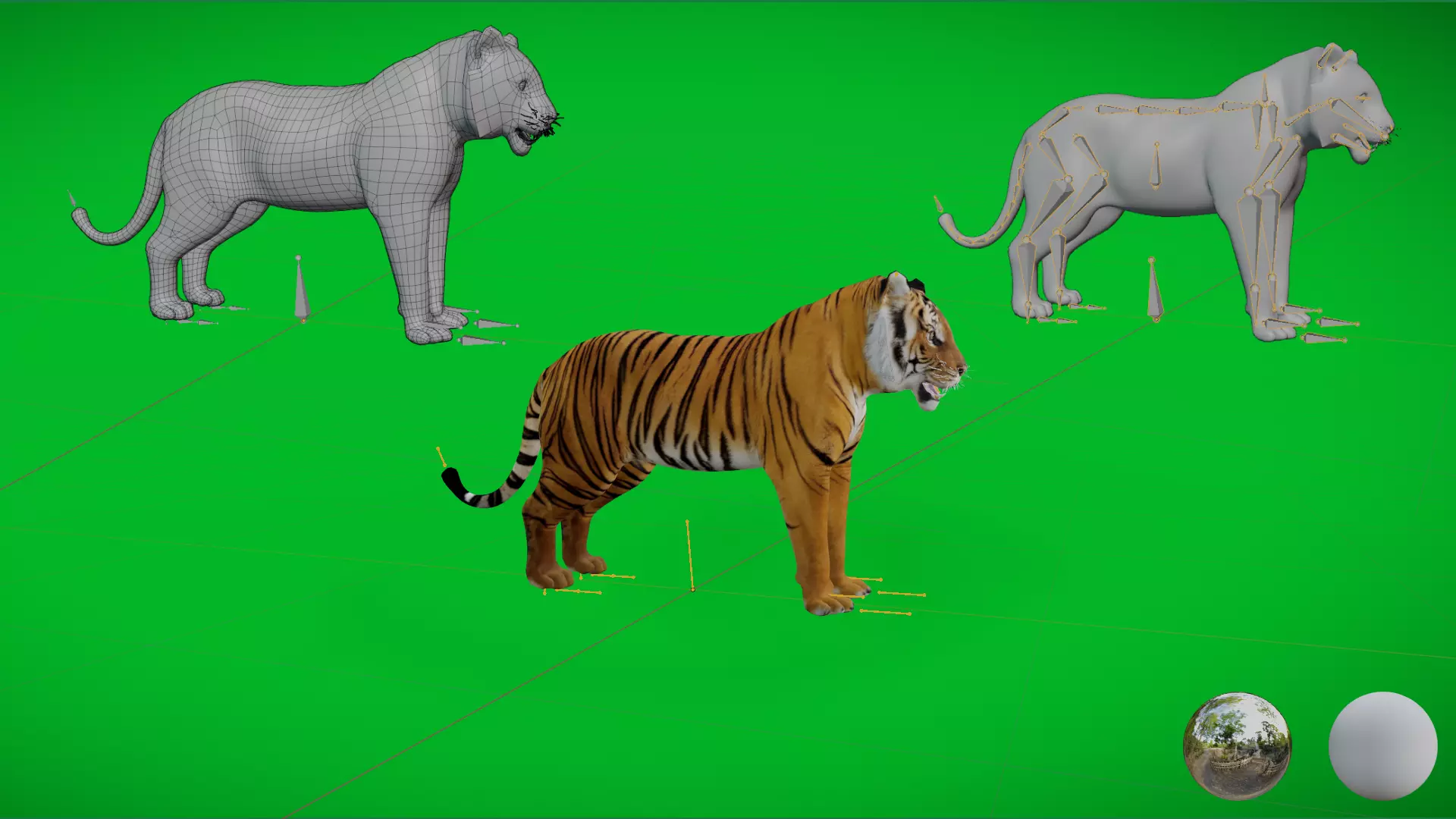 Bengal Tiger Low-poly 3D model_8