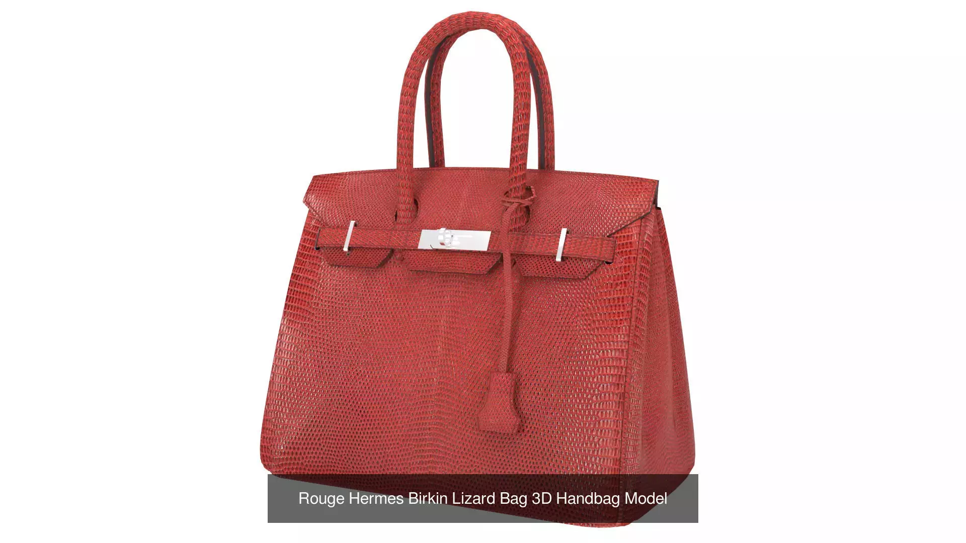 Birkin 30 by Hermes 3D Handbag Model Collection _10
