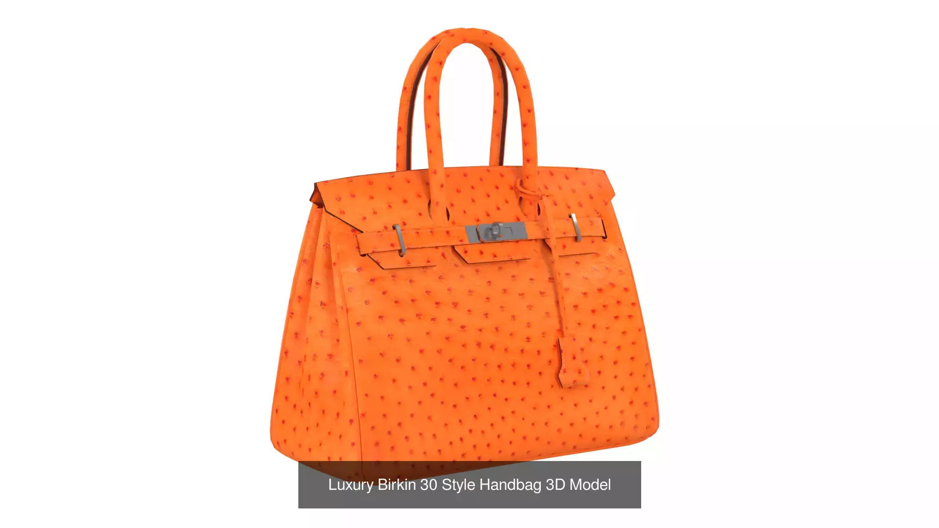 Birkin 30 by Hermes 3D Handbag Model Collection _3