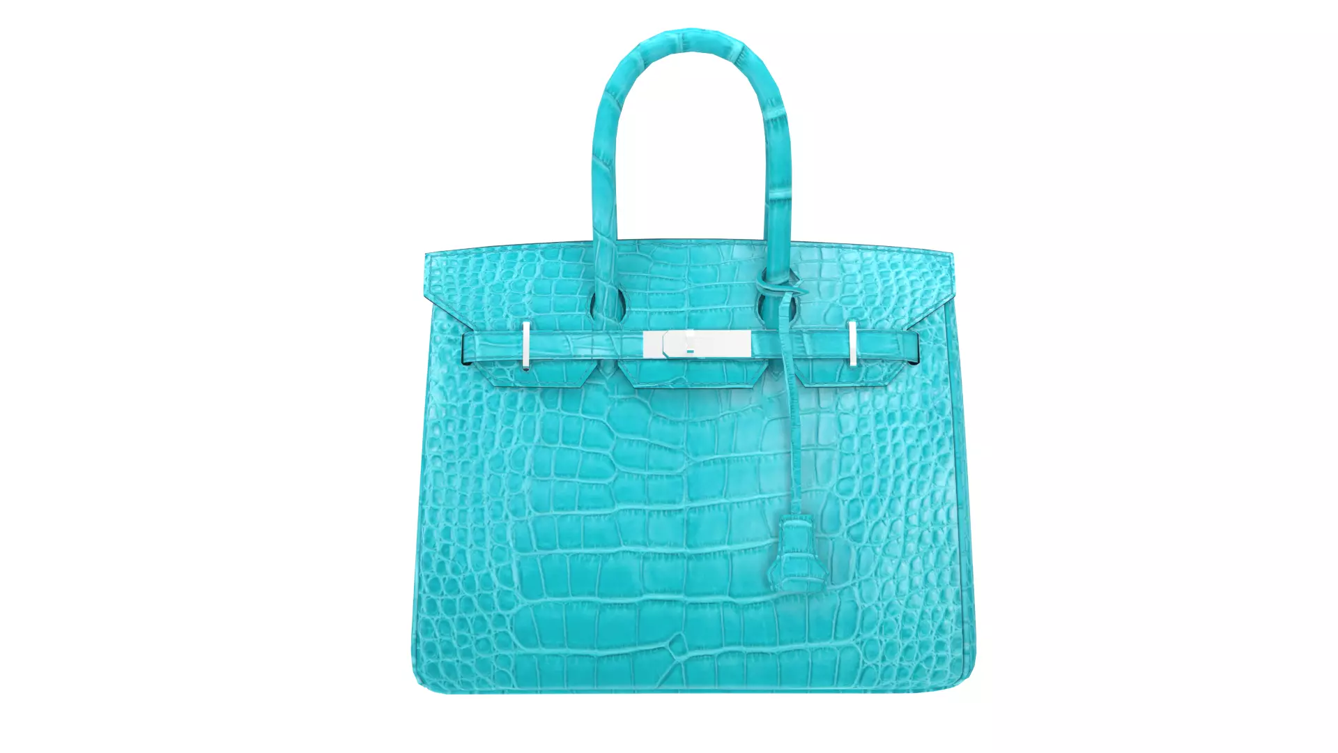 Birkin 30 by Hermes 3D Handbag Model Collection _17
