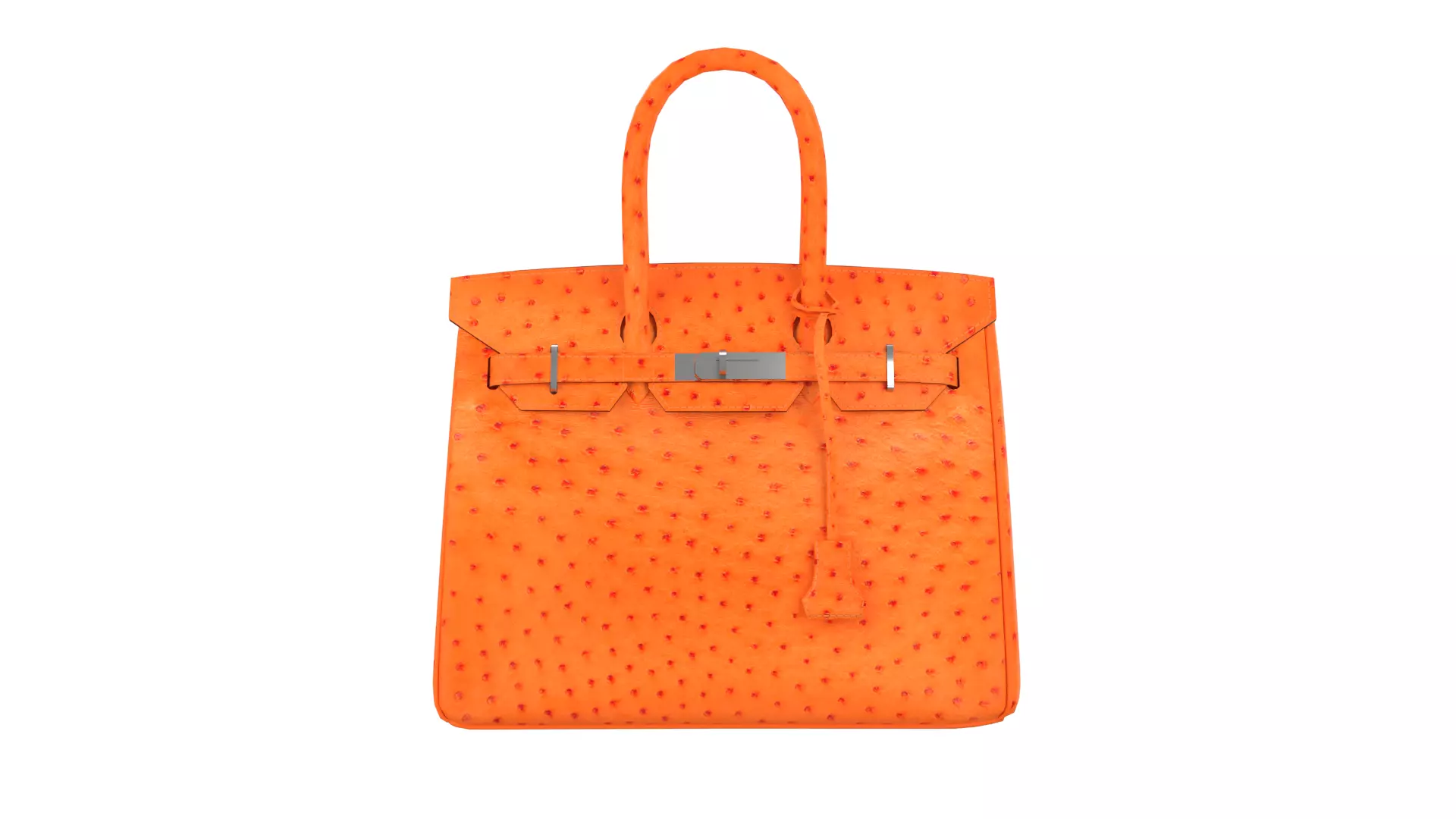 Birkin 30 by Hermes 3D Handbag Model Collection _1