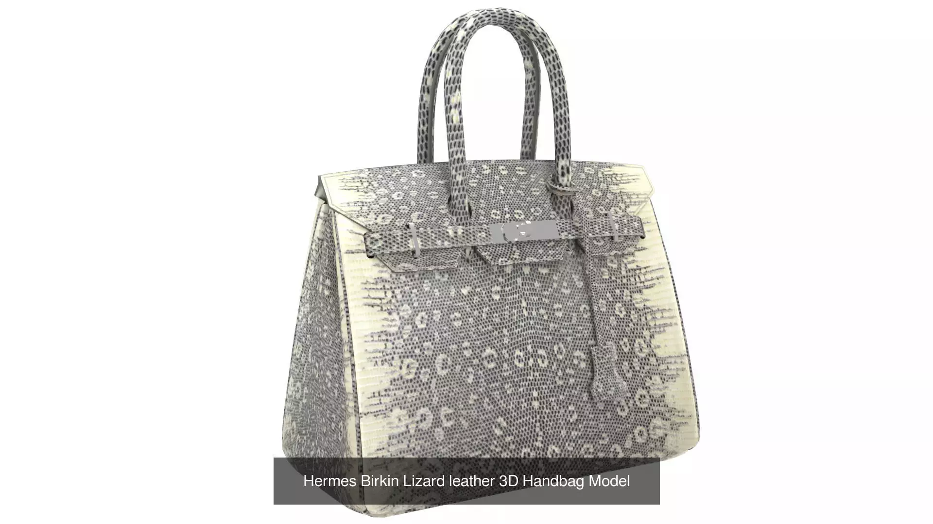 Birkin 30 by Hermes 3D Handbag Model Collection _7