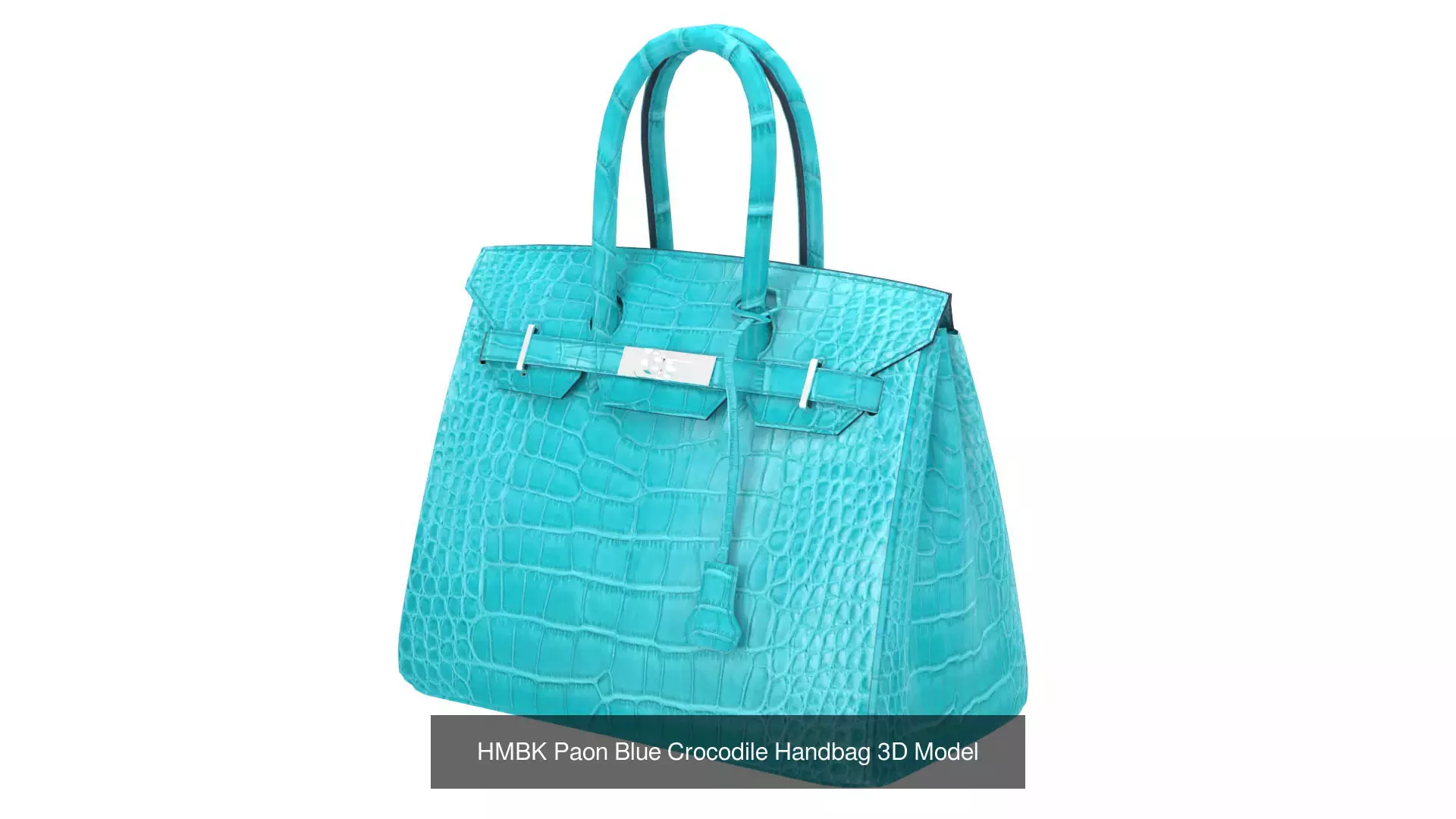 Birkin 30 by Hermes 3D Handbag Model Collection _16
