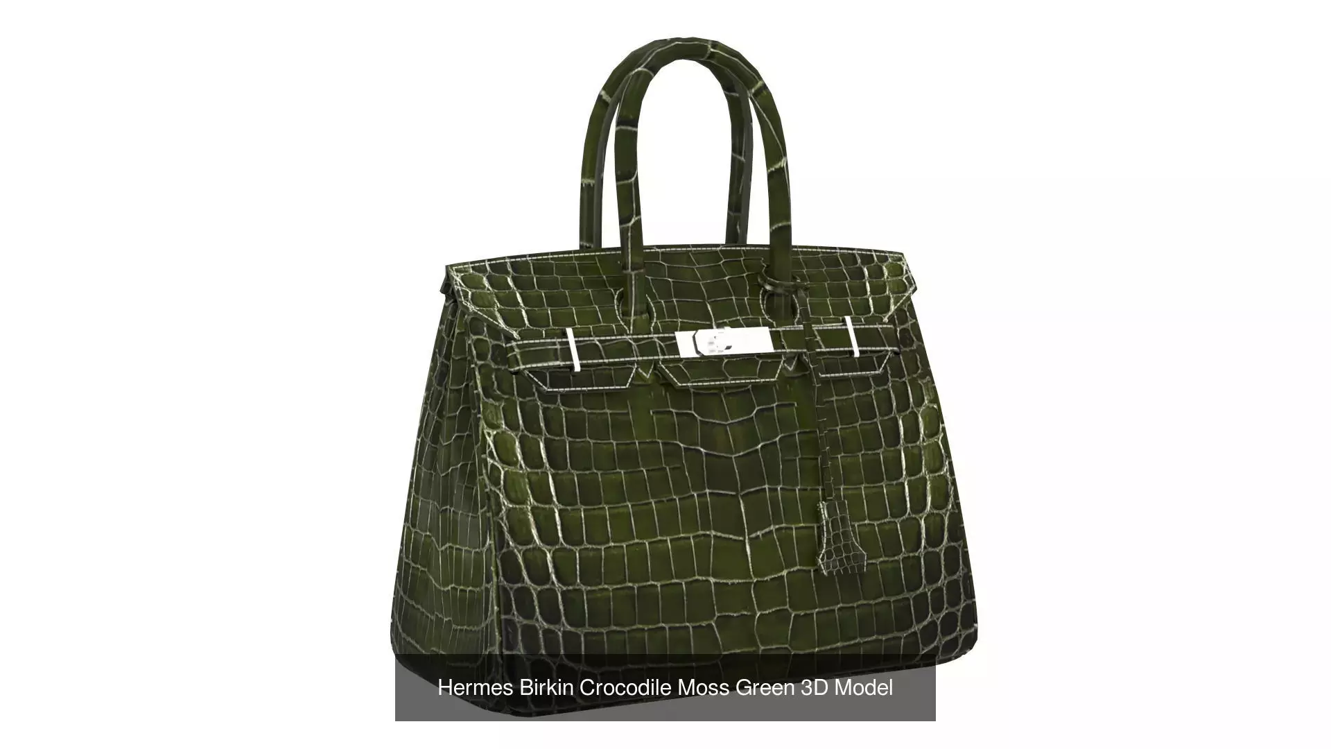 Birkin 30 by Hermes 3D Handbag Model Collection _4