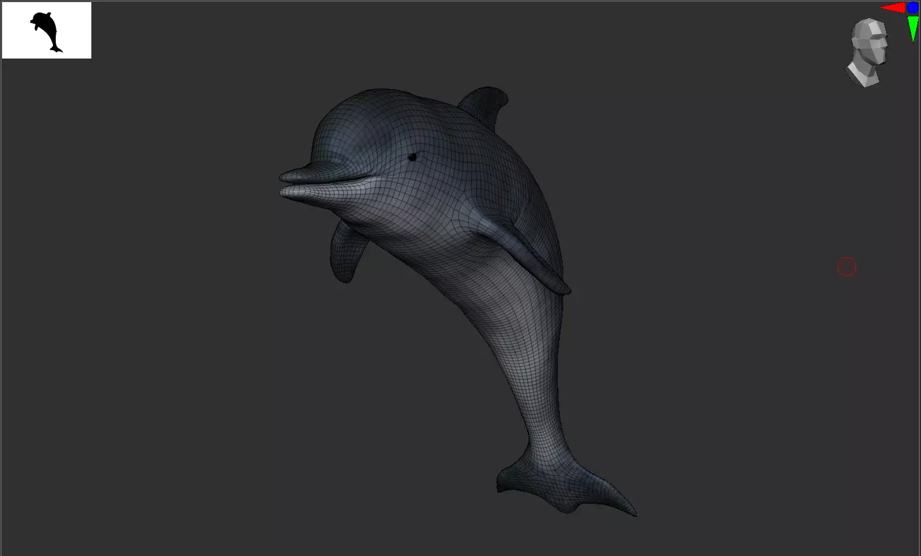 Game Ready Low Poly Dolphin Low-poly 3D model_6