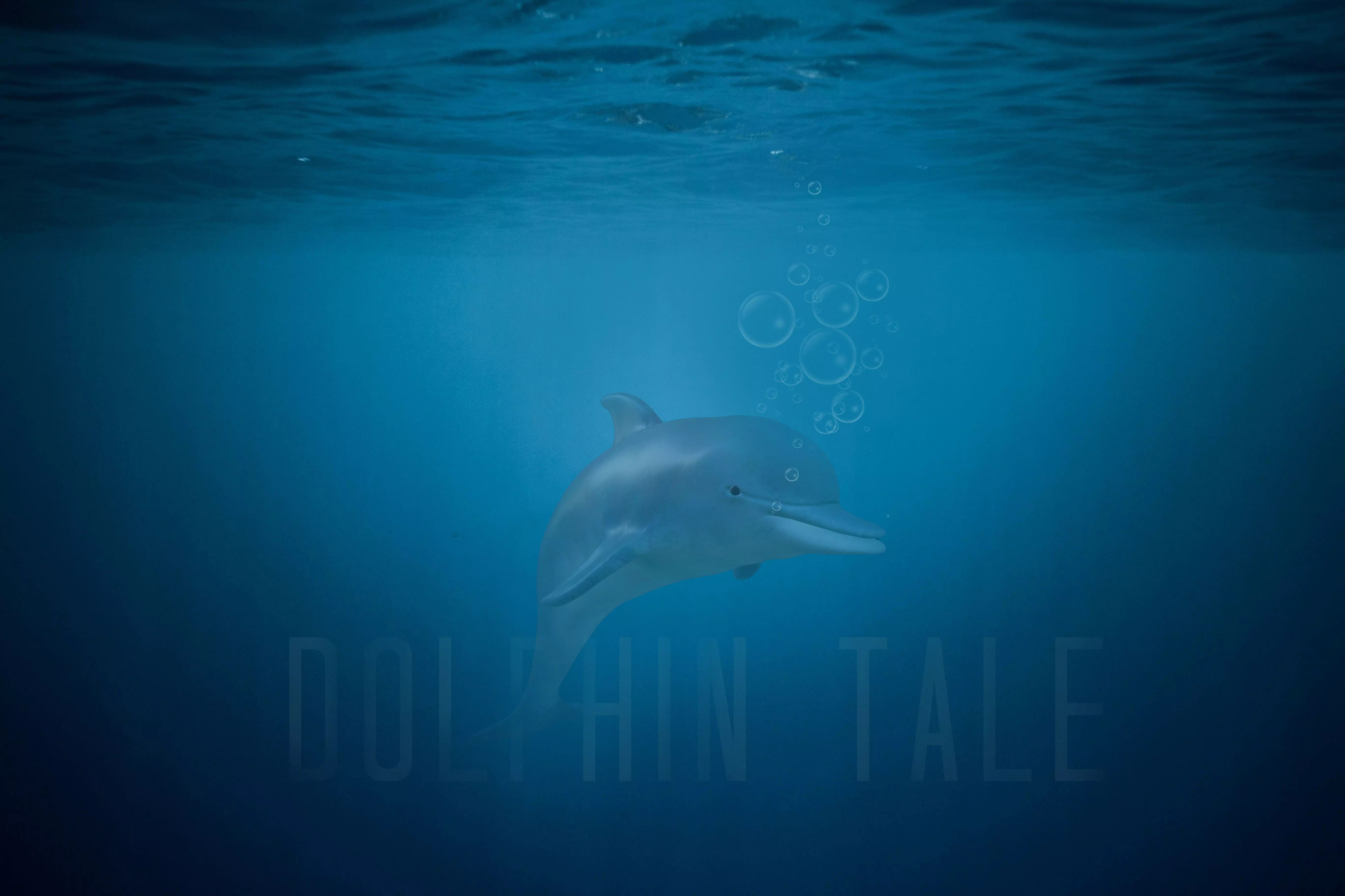 Game Ready Low Poly Dolphin Low-poly 3D model_2