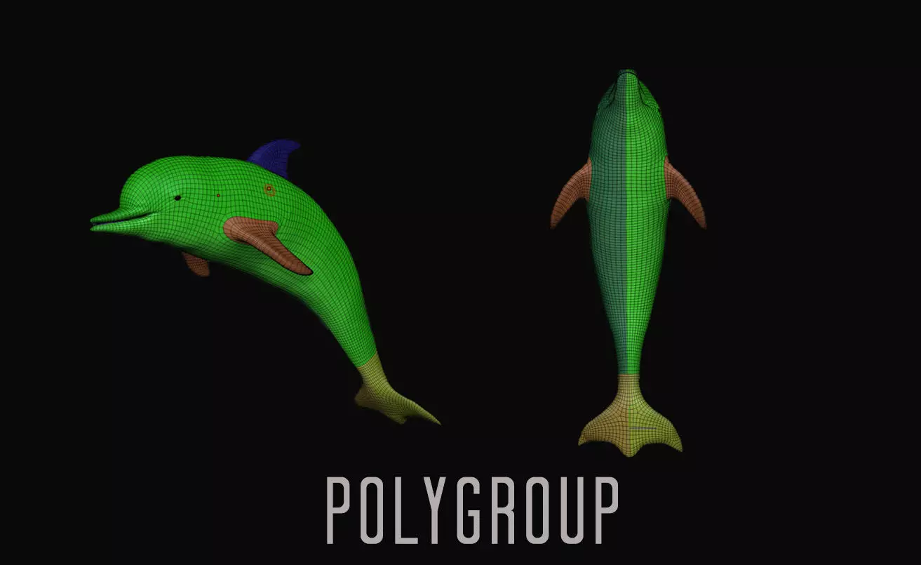 Game Ready Low Poly Dolphin Low-poly 3D model_7