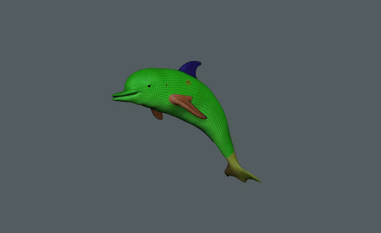 Game Ready Low Poly Dolphin Low-poly 3D model_8