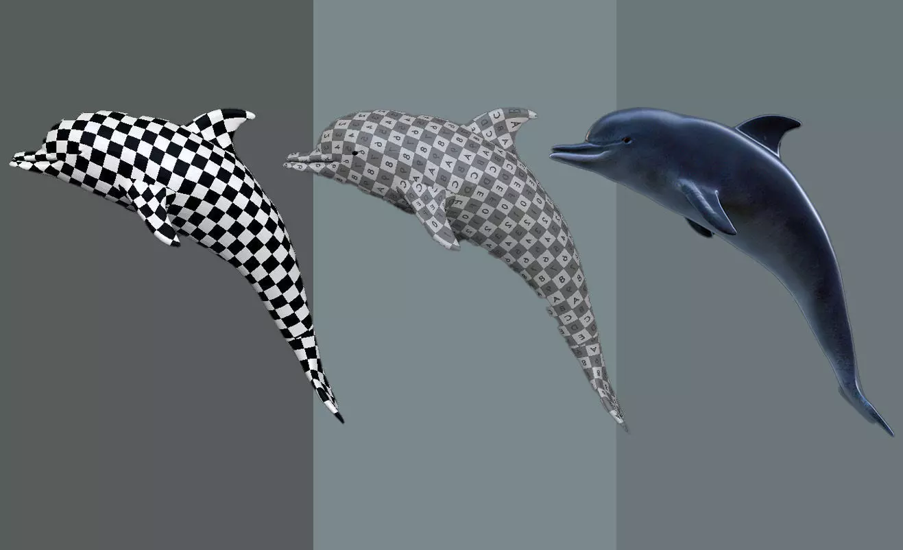 Game Ready Low Poly Dolphin Low-poly 3D model_9