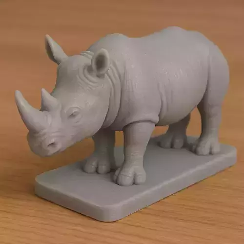 Rhino 3D print model