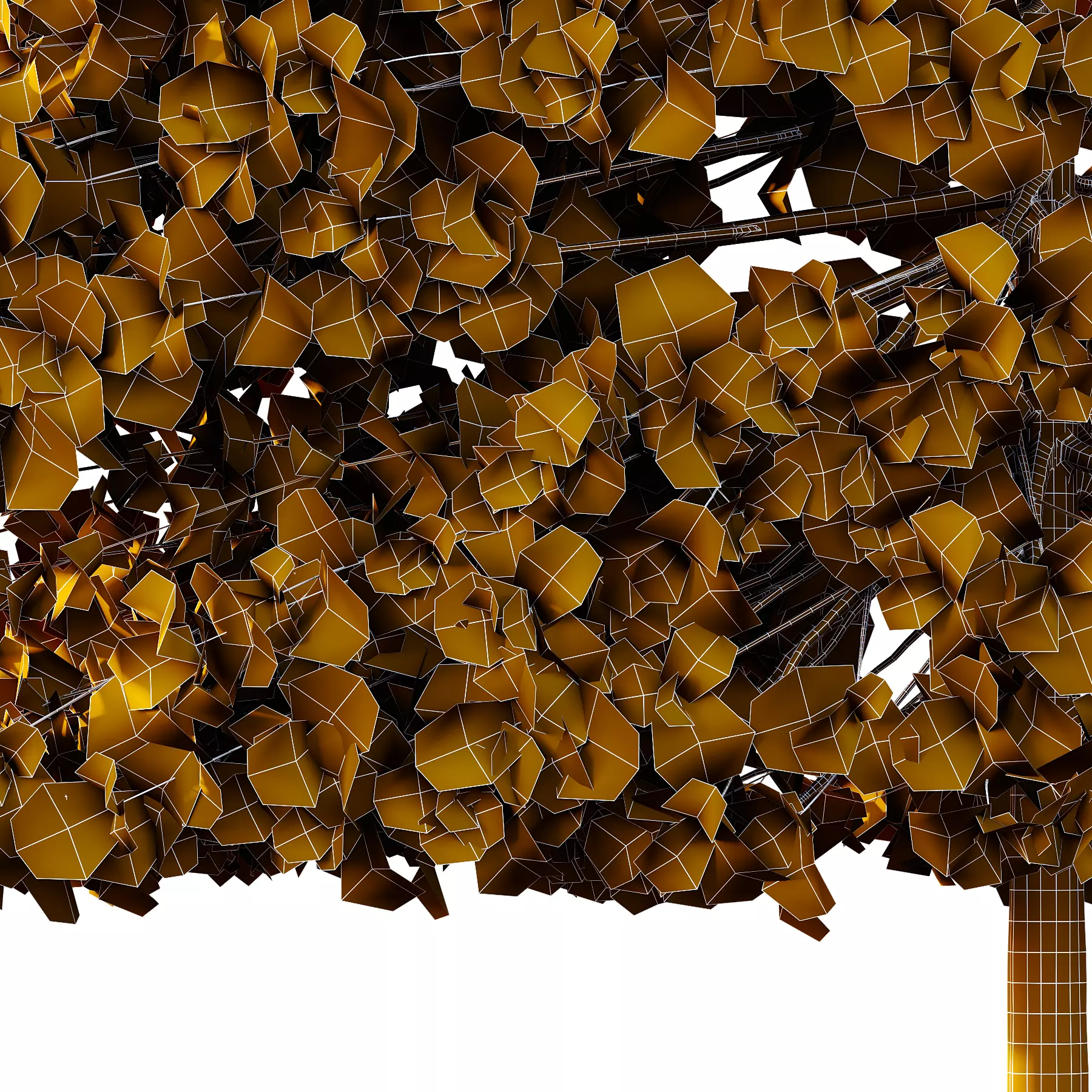 fagus sylvatica tree 17 3D model_5
