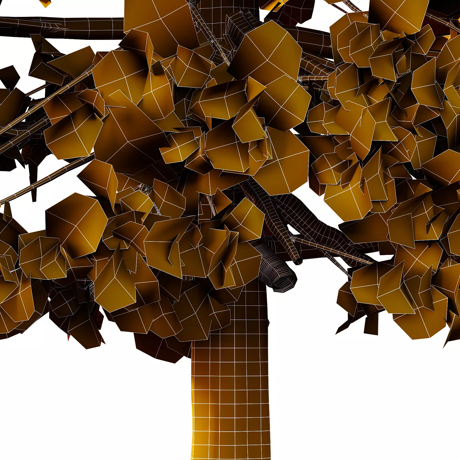 fagus sylvatica tree 18 3D model_3