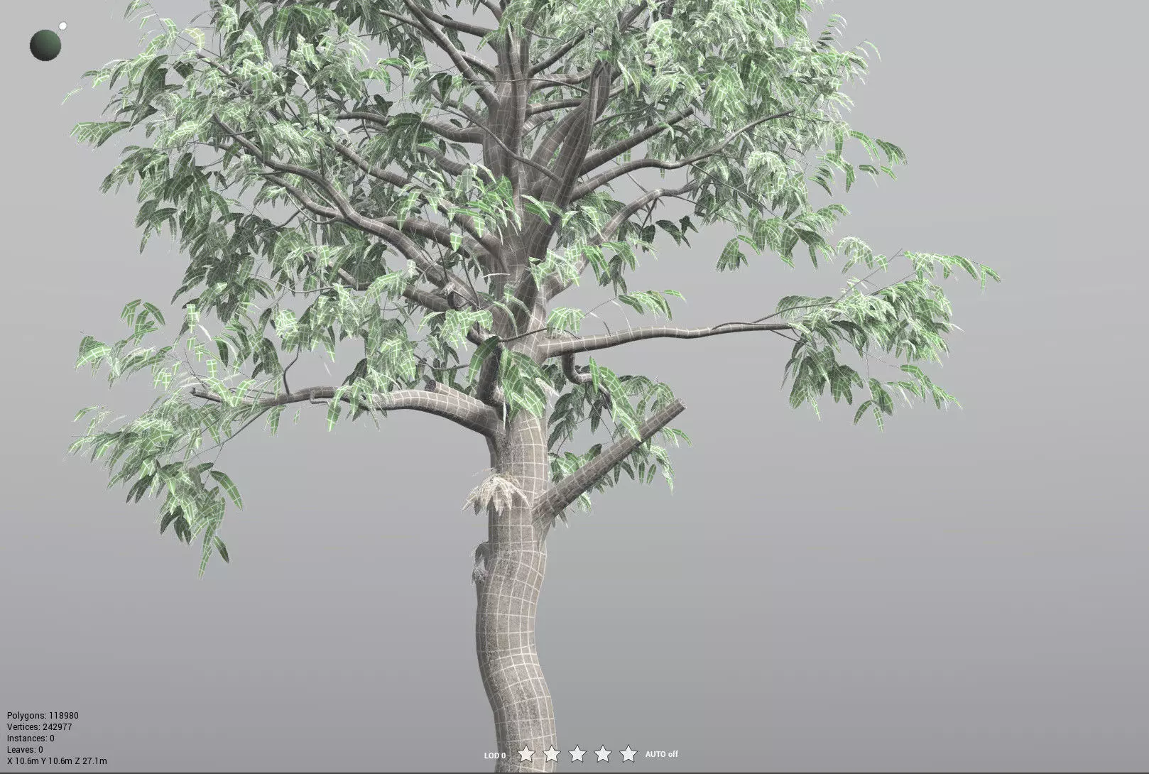 EVERYPlant Cordaites Principalis 3D model_33