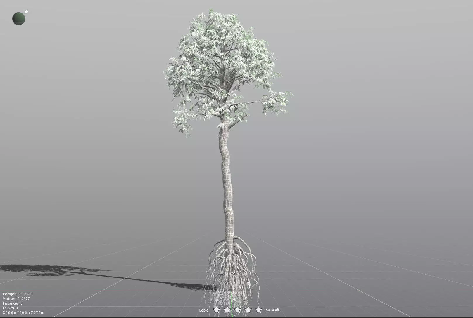 EVERYPlant Cordaites Principalis 3D model_32