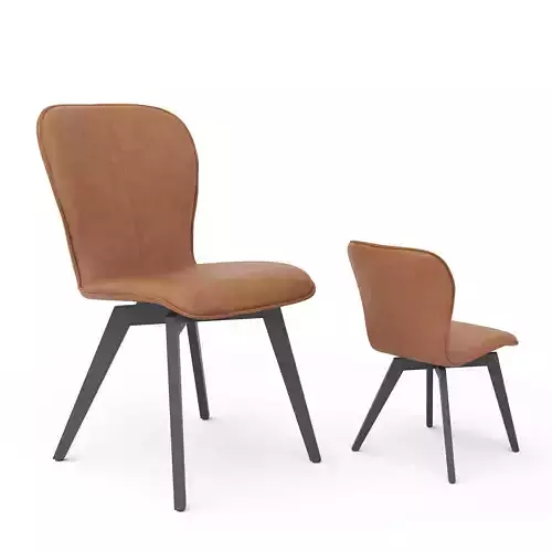 Rastharv Chair