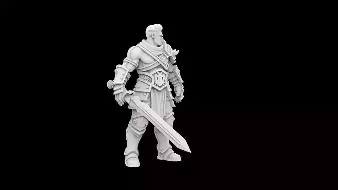 Fantasy Warrior Character