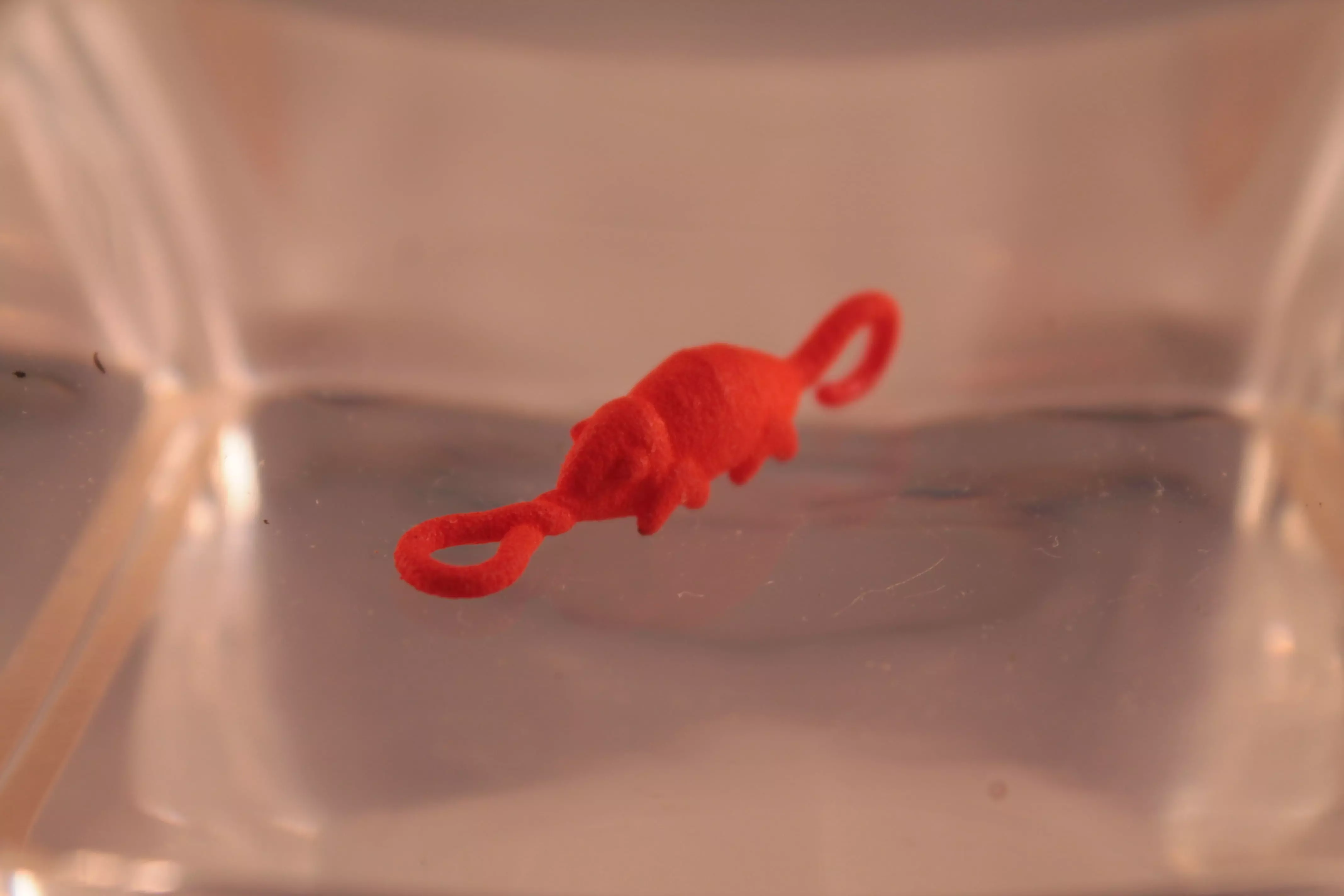 Chameleon for bracelet 3D model_0