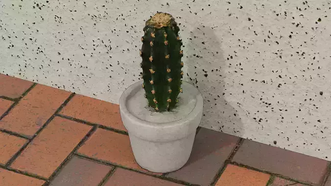 Potted cactus Low-poly 3D model