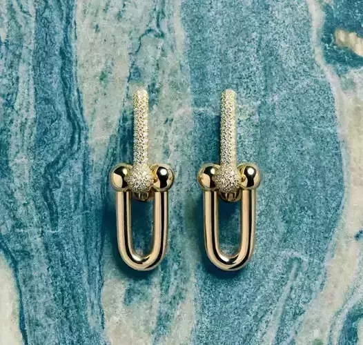 Tiffany and Co Earrings Jewelry HK-624 3D print model