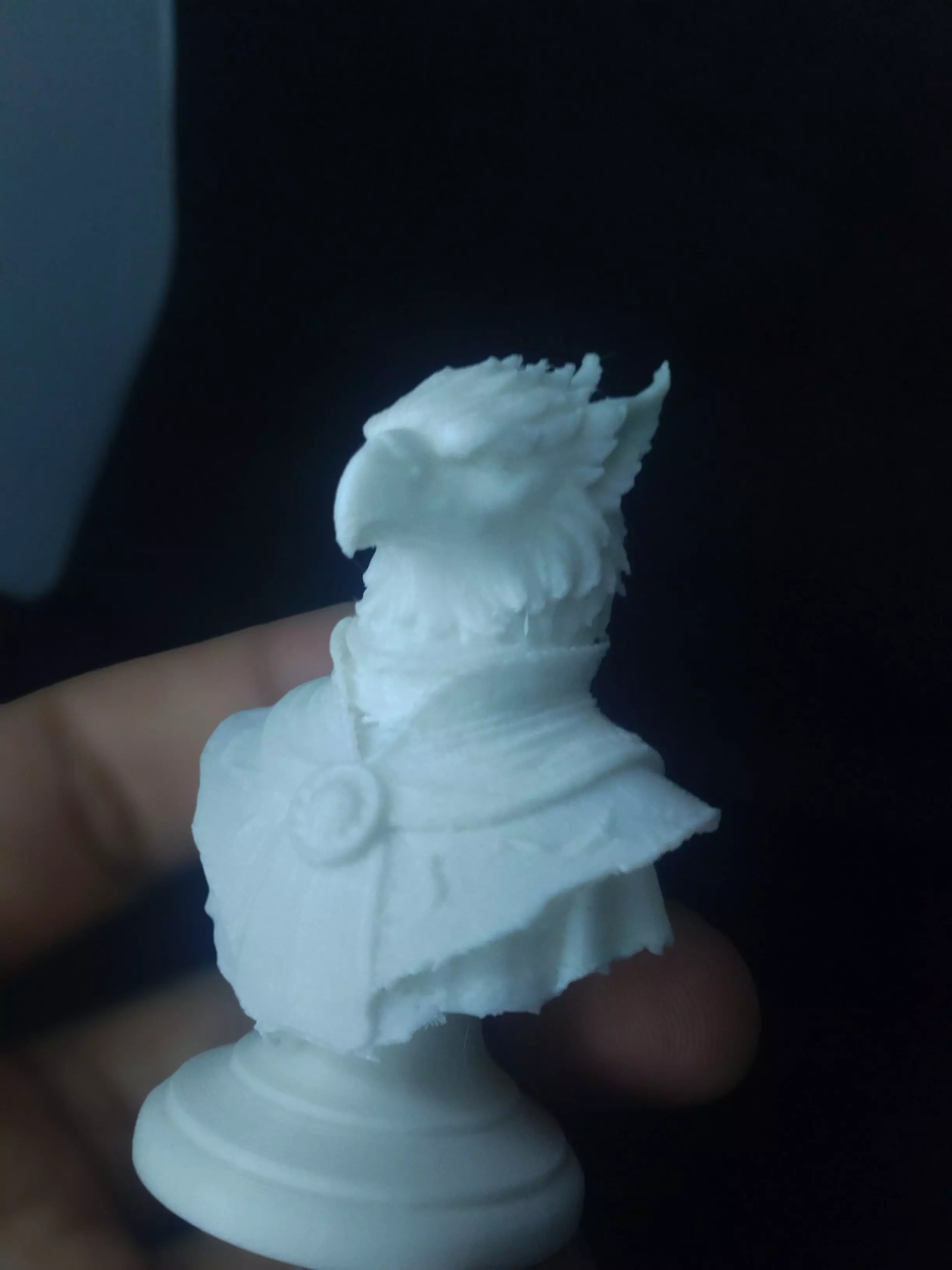 Royal Griffin Bust Free 3D print model_4