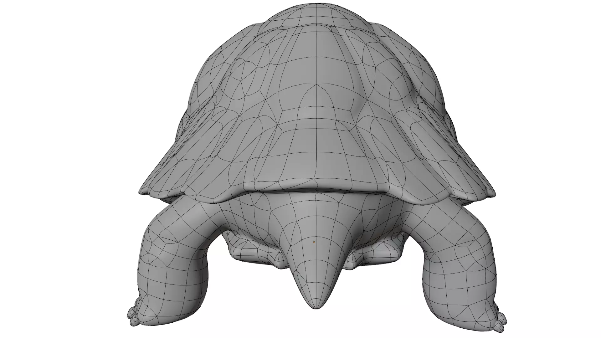 Tortoise 3D model_12