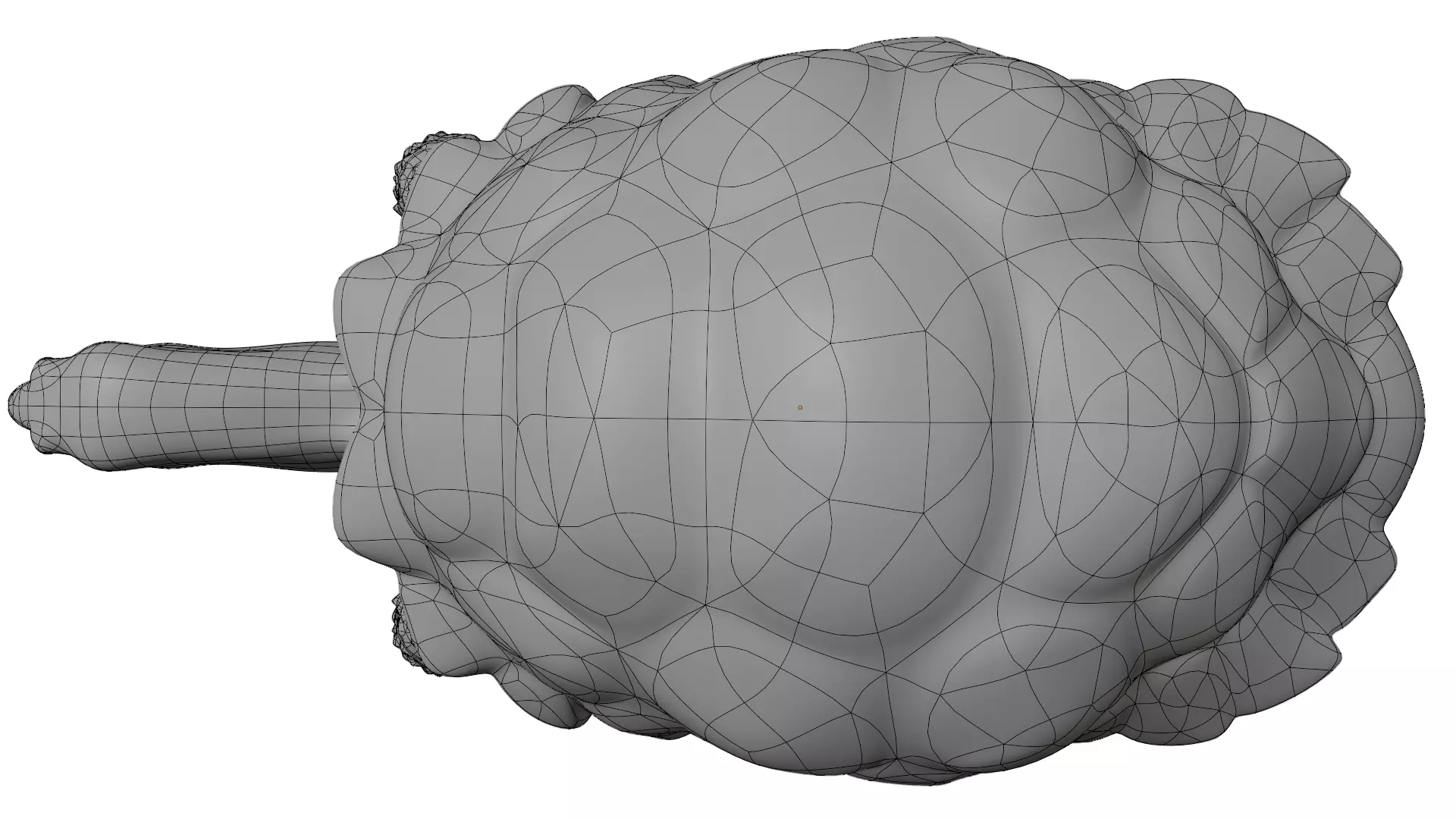 Tortoise 3D model_18