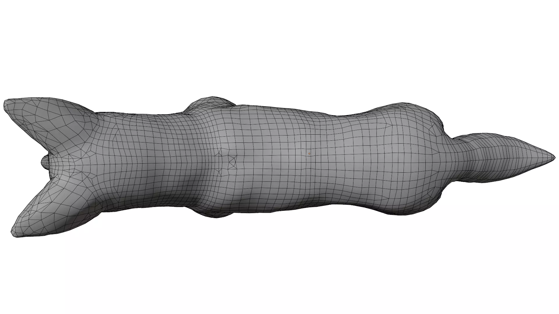 Tortoise 3D model_17