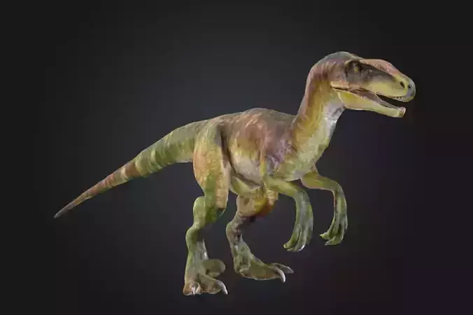 Realistic Velociraptor 3D Model  Low-poly 3D model