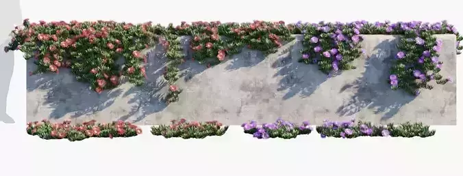 3D Plant Pack 15 Groundcovers and Climbing Species  3D model