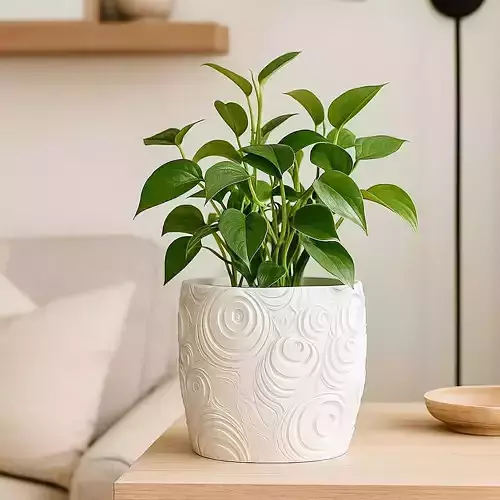 Modern Plant Pot with Drainage No Supports