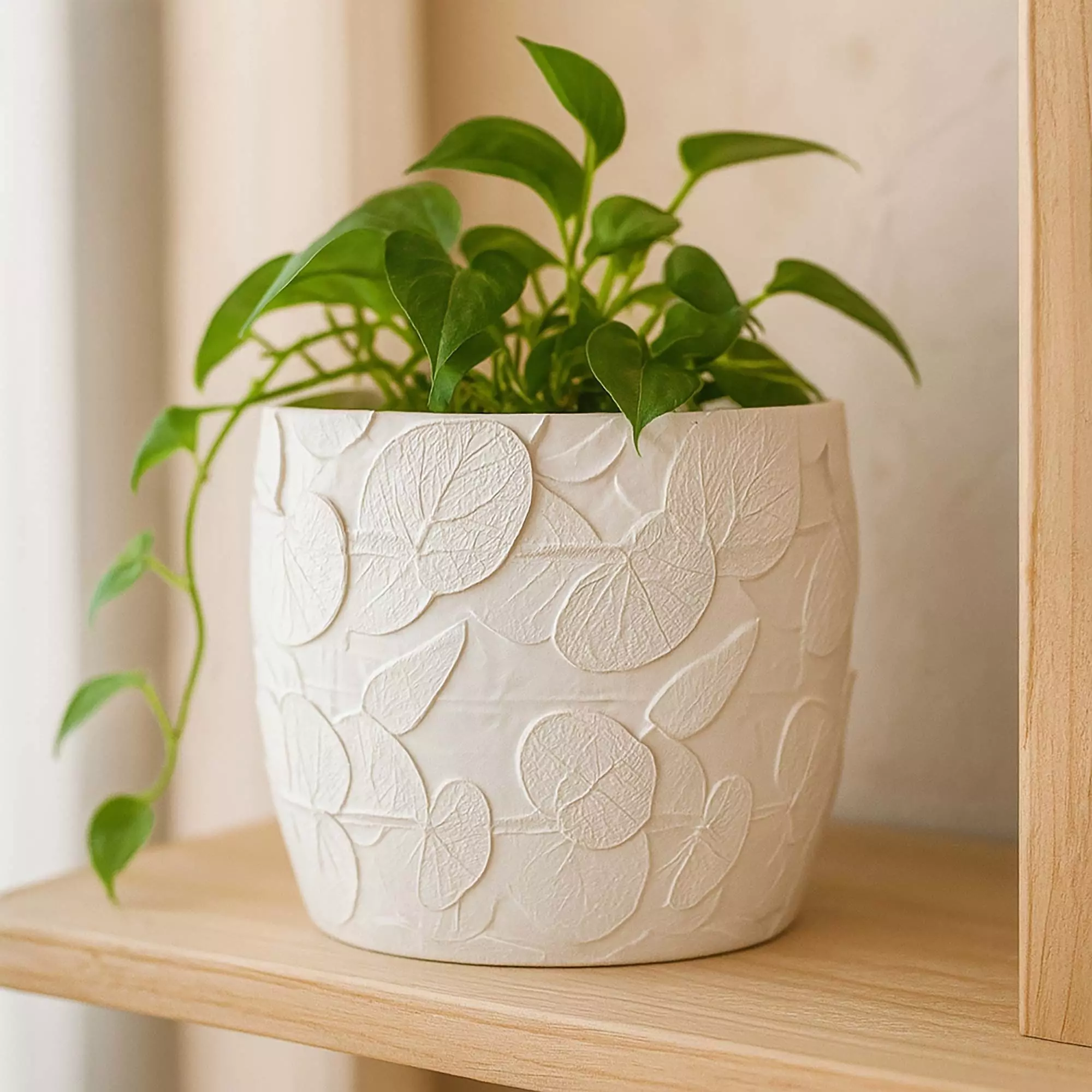 Eucalyptus Plant Pot with Drainage No Supports 3D print model_0