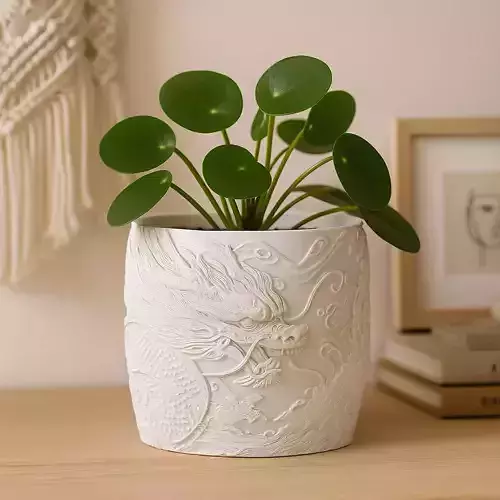 Dragon Plant Pot with Drainage No Supports