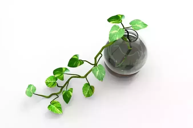 Money Plant 3D print model