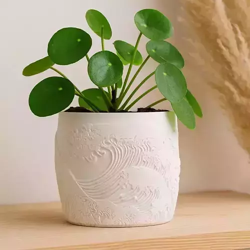 Japanese Waves Plant Pot with Drainage No Supports 