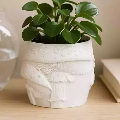 Fly Agaric Plant Pot with Drainage No Supports Cute Planter
