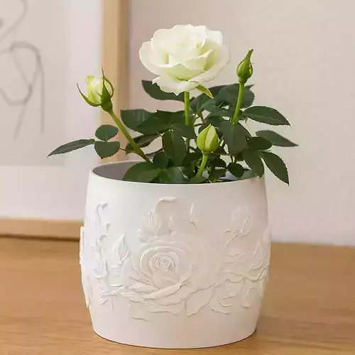 Rose Plant Pot with Drainage No Supports Elegant Planter
