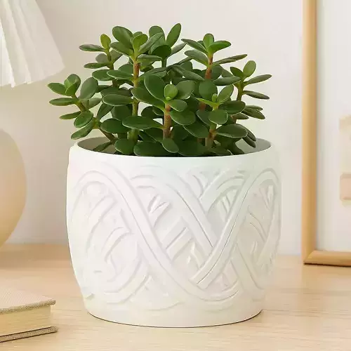 Celtic Knot Plant Pot with Drainage No Supports Planter