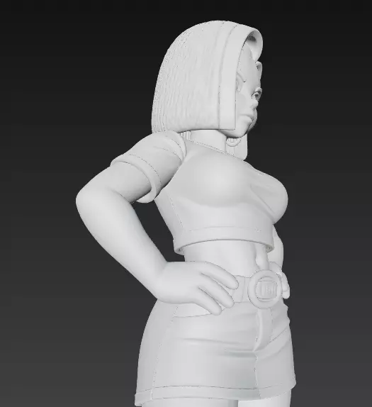 Figura de Android 18  Fuerte y elegante DBZ 3D print model_7