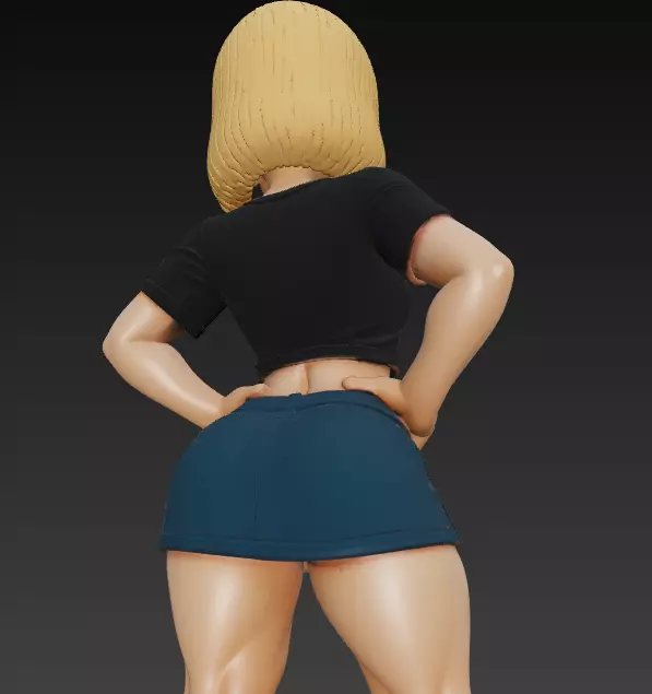 Figura de Android 18  Fuerte y elegante DBZ 3D print model_12