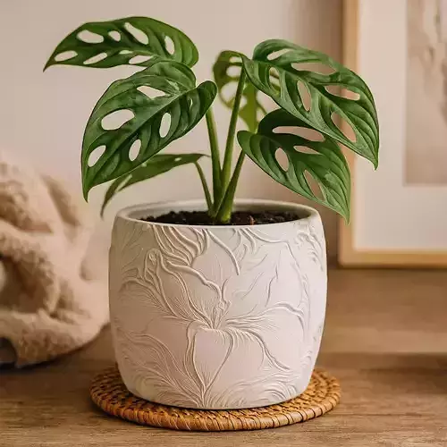 Art Nouveau Plant Pot with Drainage No Supports Stylish Planter 3D print model