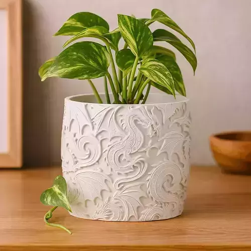Dragon Plant Pot with Drainage No Supports Fantasy Planter