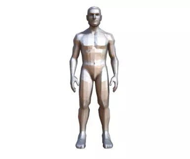 Generic Male Low Poly Character Low-poly 3D model_0